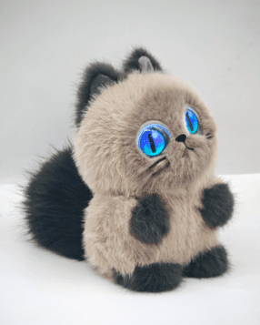 赛赛猫